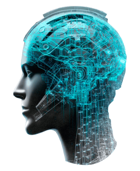 Emily NZDCHF (Stable)